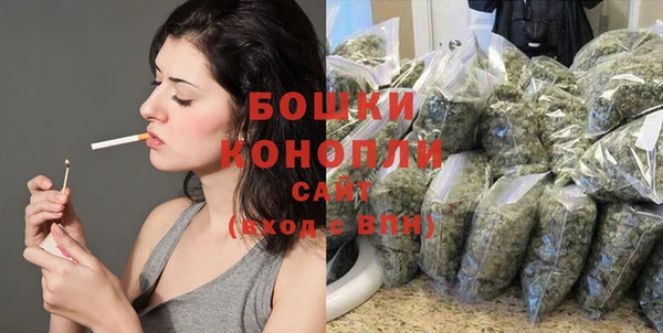 дмт Осинники