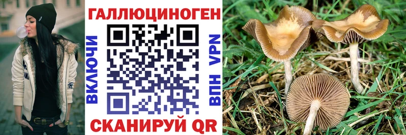 Псилоцибиновые грибы мухоморы Астрахань