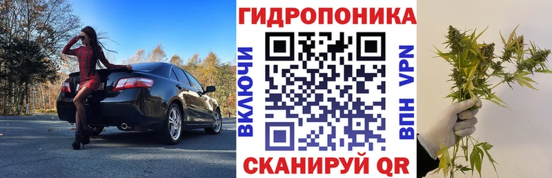 Шишки марихуана гибрид  купить наркоту  Астрахань 